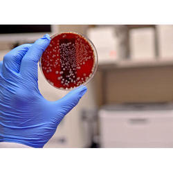 > </div>
<div class=